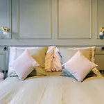 Cosy 22