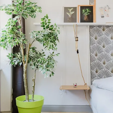 Cosy 22 * ストラスブール